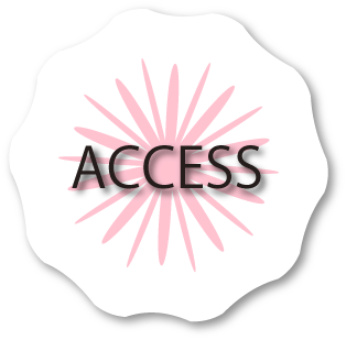 ACCESS